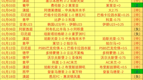 沪粤篮球巅峰对决春节上演